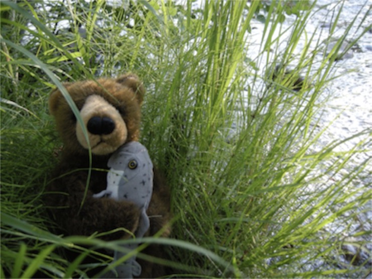 Edward at Rock Creek