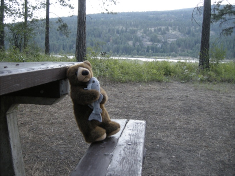Edward at Kettle Falls