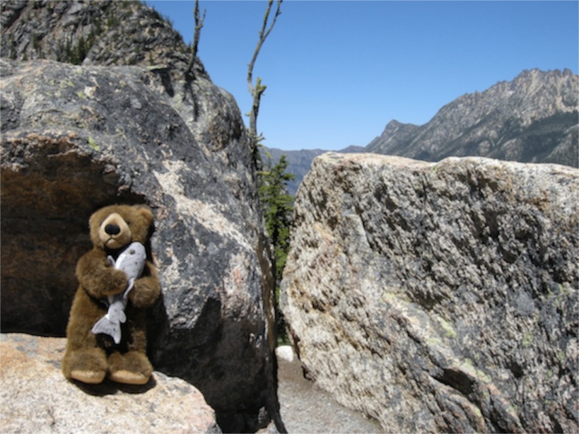 Edward in North Cascades