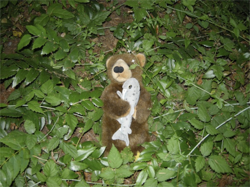 Edward at American Heritage Campground