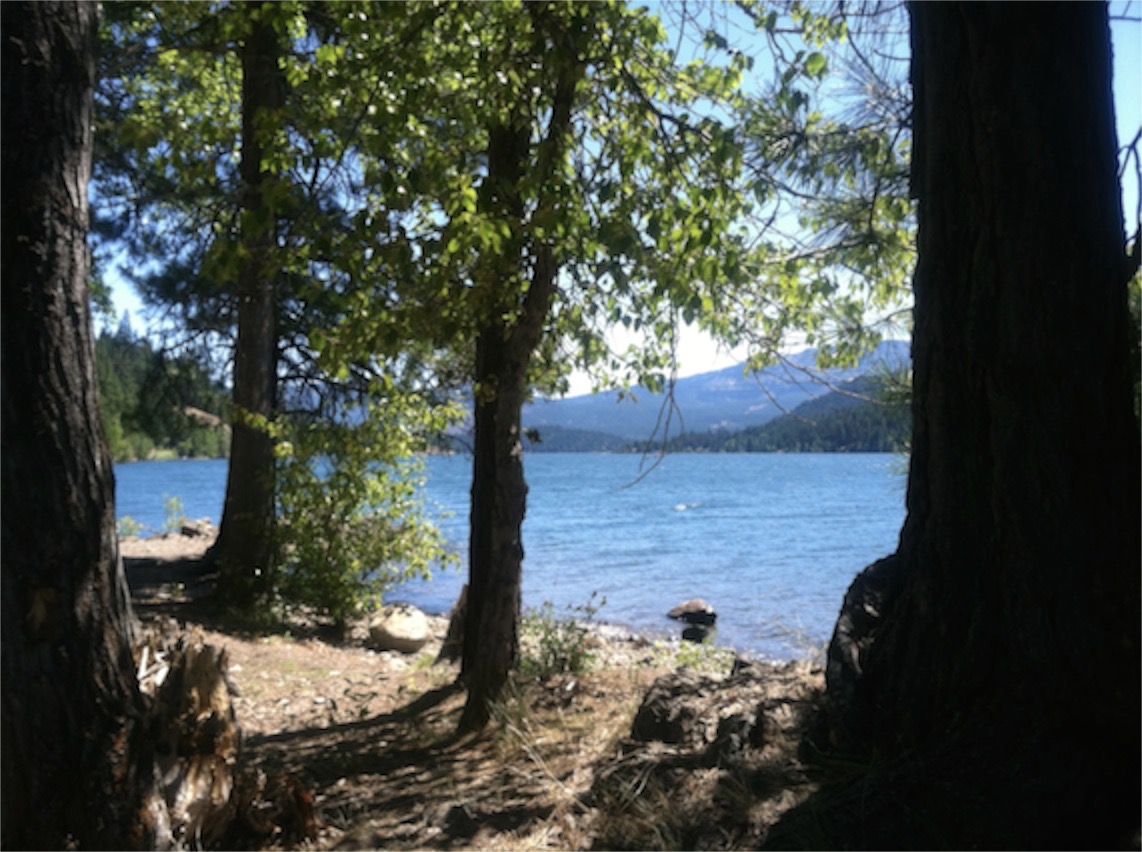 Edward in Washington