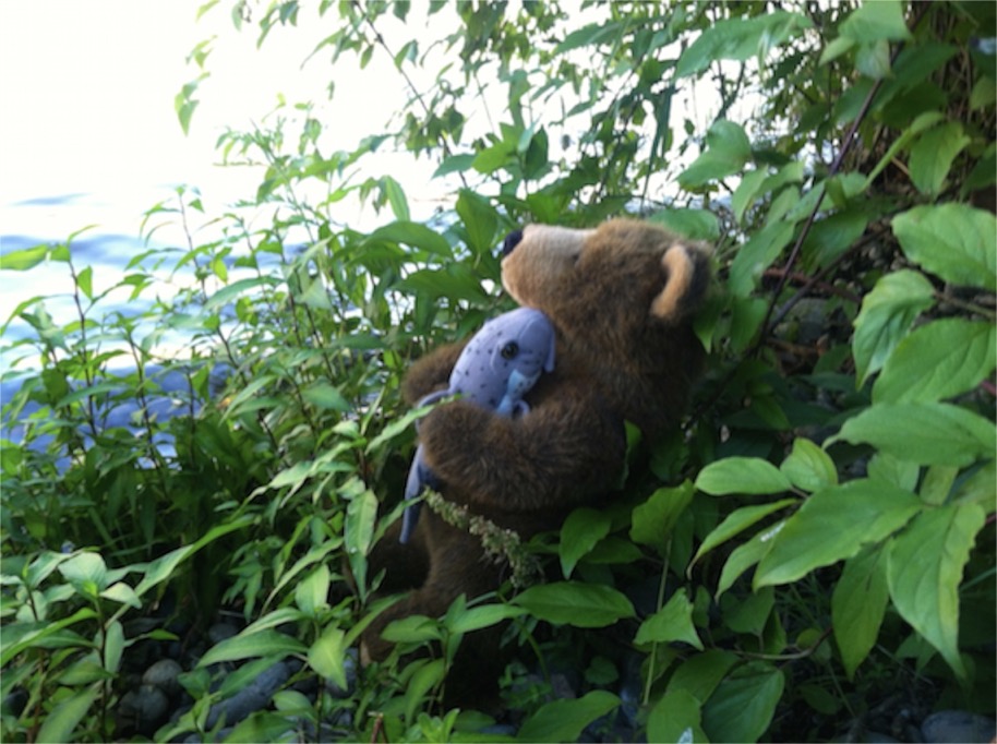 Edward at the lakeshore