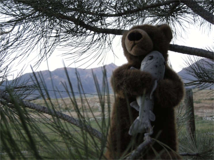 Edward in Paradise Valley