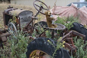 Edward and the old tractor