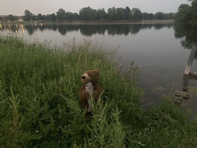 73784A1B-1A70-40C8-9FA1-BBA4395E240F_1_105_c