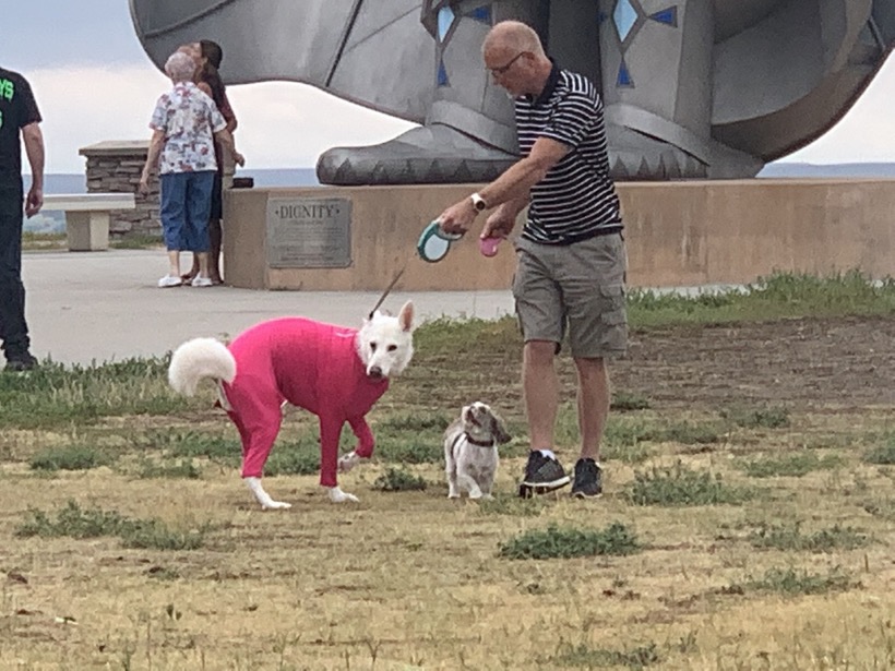 8511FB08-E698-4290-9335-5114C059D7B8_1_105_c