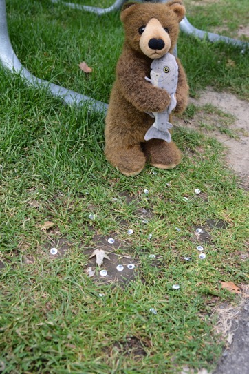 290F440C-5489-41A0-A03F-03EA2A743215_1_105_c