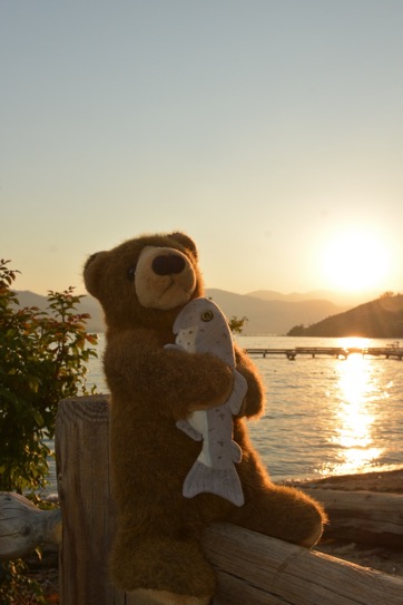 E6D98F56-2B91-4AD6-8593-20D4FE960DE0_1_105_c