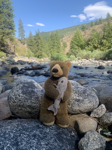 E90AE2CF-80CF-48FB-B078-67FE1E3C2031_1_105_c