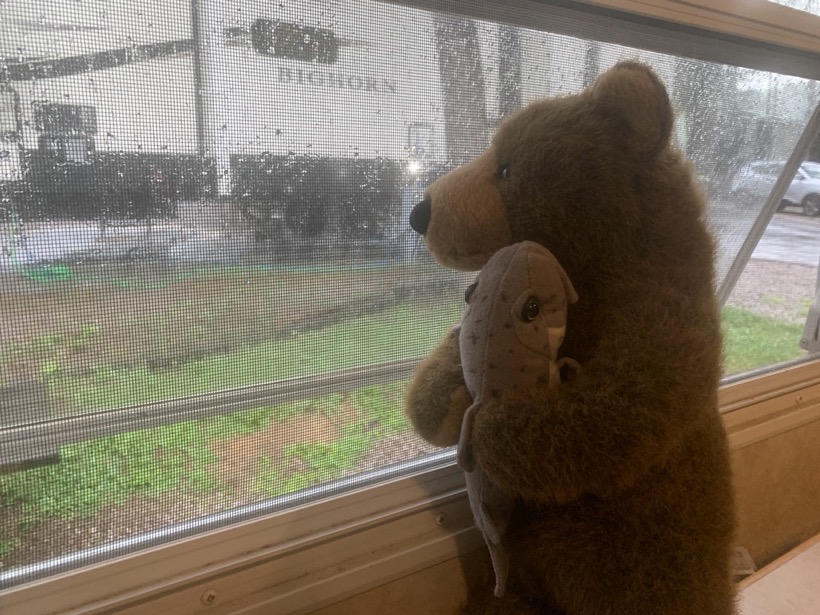 CDDE3796-A7E7-421A-B705-729F4A3CF8B7_1_105_c