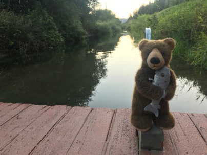 edward bear 2018-08-27-2