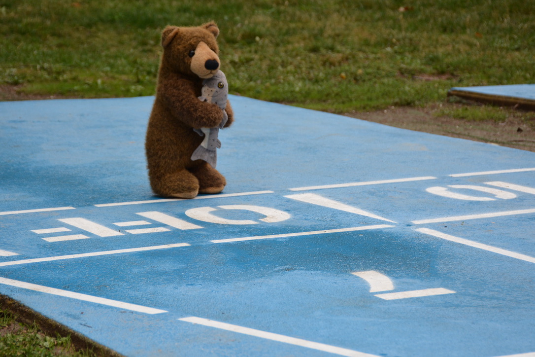 F5C08A6C-F2B3-4601-A6FB-852B21C74ACB_1_105_c