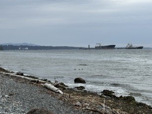 38A9DAC5-AC58-47EB-9383-B208D9DE1B1C_1_105_c