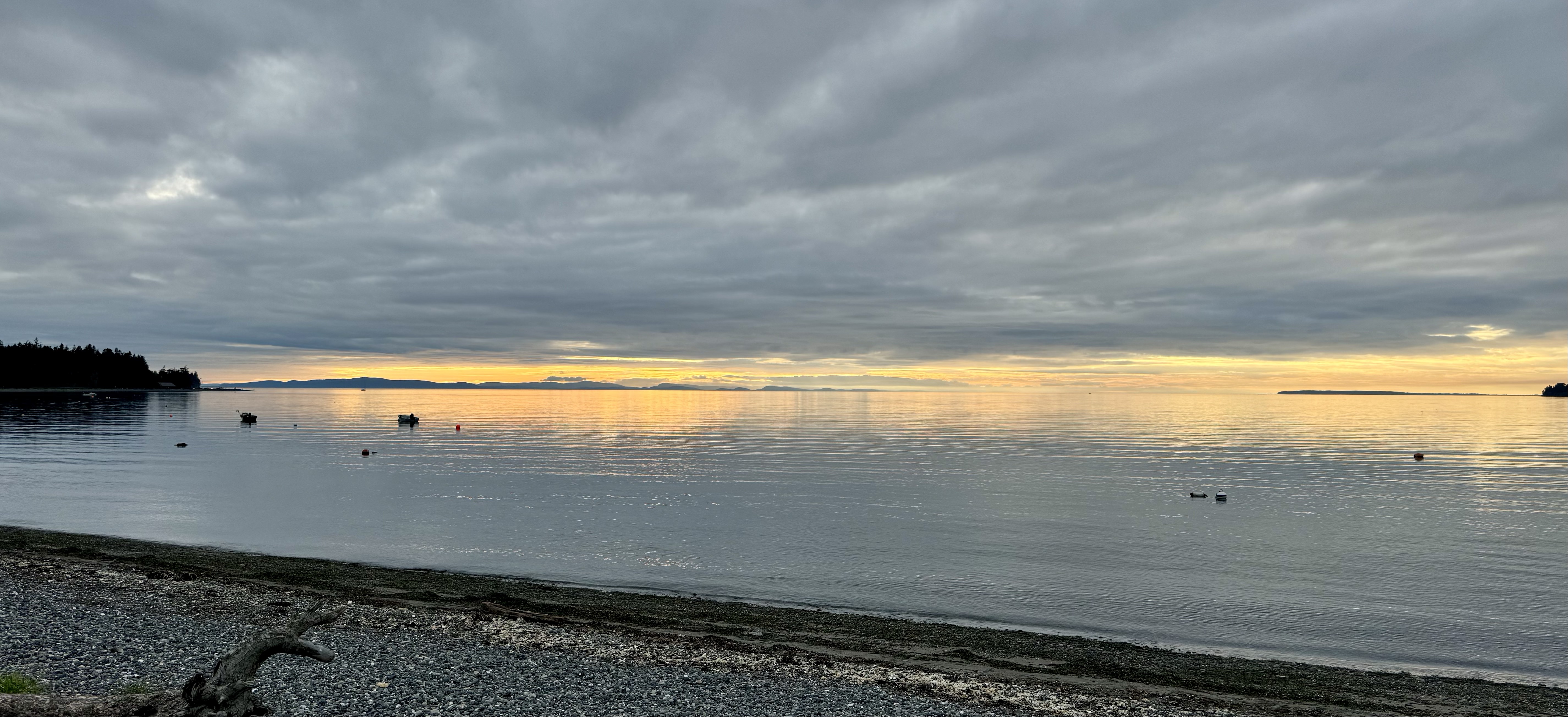 A72ACB53-E683-47F3-A404-9DCAE86FC5EA_1_201_a