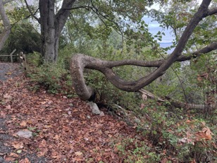 DBF331EF-0B3F-474D-93FE-F96C5D6AAD2C_1_105_c