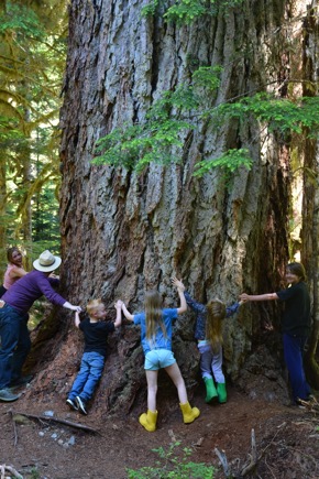 76AE7C41-7253-4425-89BF-F463E8256DCA_1_105_c