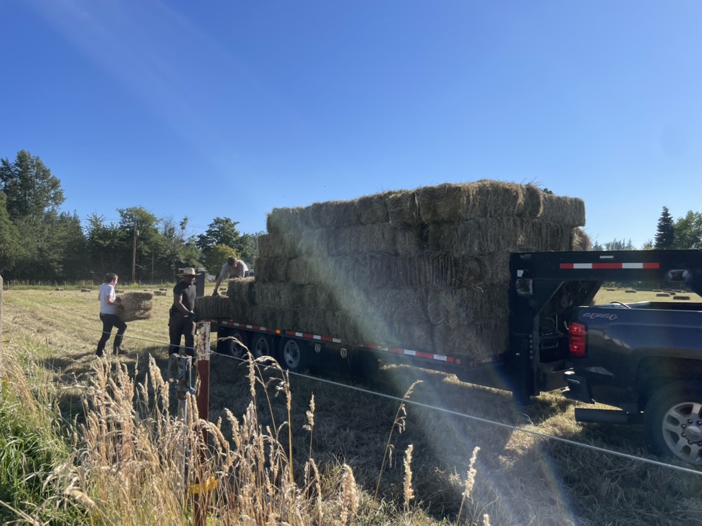 1521016E-0806-4471-BFA0-F09C6D30758E_1_105_c