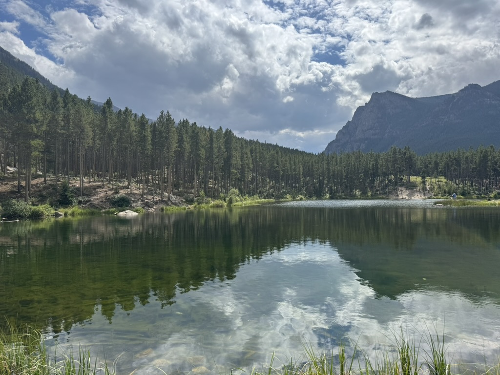 16C41CFF-4F0A-45BC-B28C-22CED95248E0_1_105_c