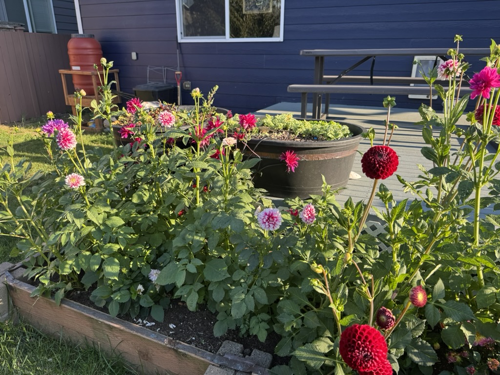 C962C30D-61BA-43C3-A06F-8711DB76A17B_1_105_c