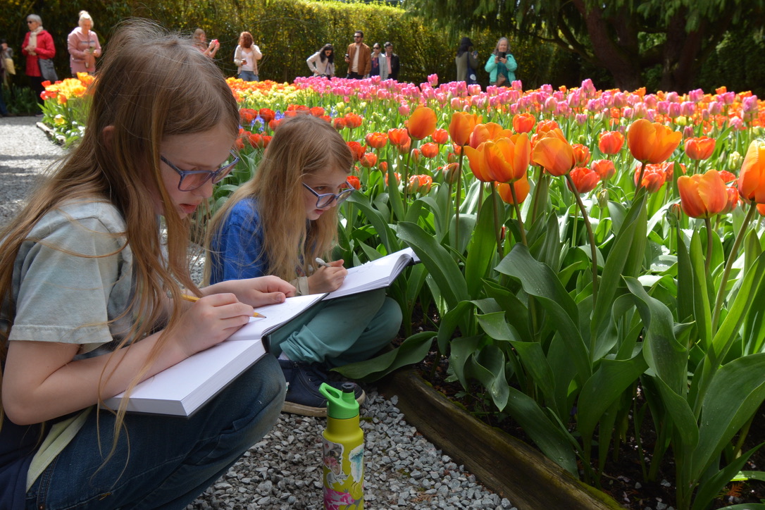 CA625B56-101B-421A-B8AE-1F5076B12ACB_1_105_c