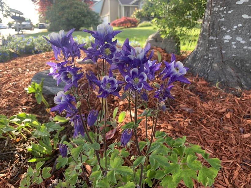 B2C10E14-570C-45F5-BE24-A4CCF51AC58B_1_105_c