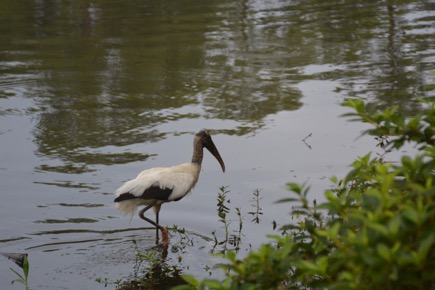 D76CAD94-832C-493B-AC34-F82A872E41FC_1_105_c