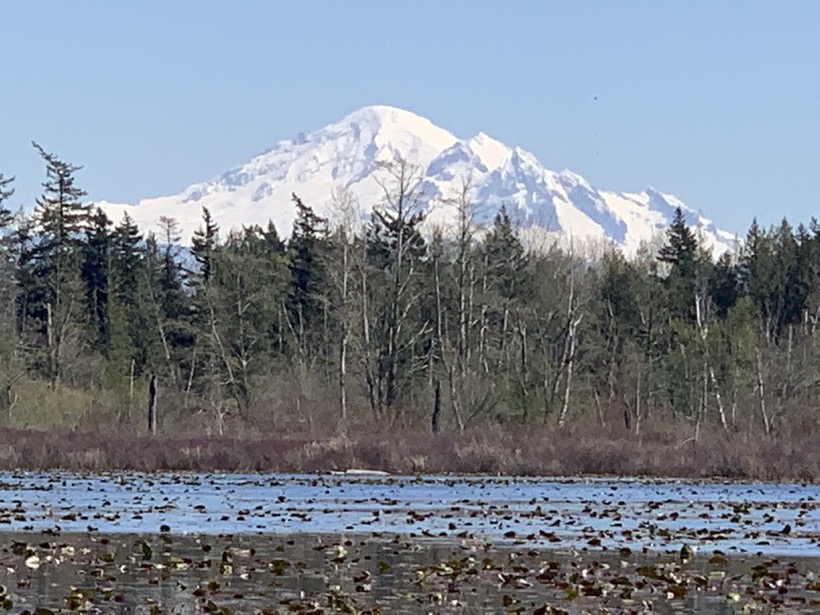 C4B256DB-DBD1-4485-A9DF-0240A351B0B4_1_105_c