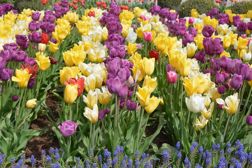 58C70801-CE44-482A-A60C-EB9CF6F74304_1_105_c