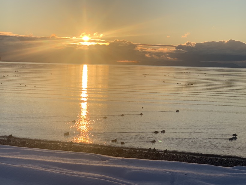 2021-12-30viewwalking