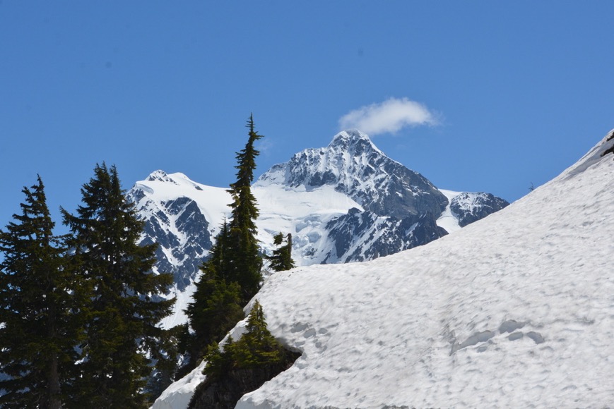 E0FD1BFD-2DE8-44F3-AB0D-C9B9D4245244_1_105_c