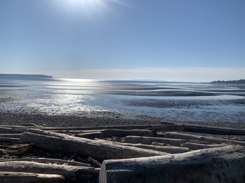 53574A80-4595-4E1B-81A8-AE1F1808ED12_1_105_c