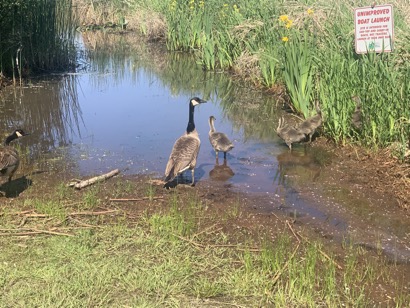 4F540FA9-6C93-4C78-AD2E-EA63B97A7A0A_1_105_c