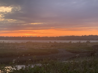 69E813CD-9757-4897-A6D1-313D01FD0F90_1_105_c